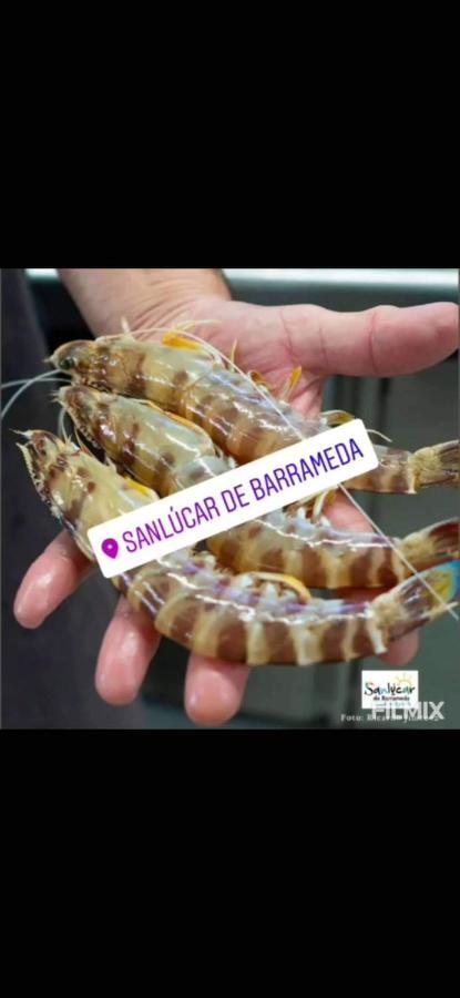 Piso De Dos Dormitorios En El Centro De Sanlúcar de Barrameda Eksteriør billede